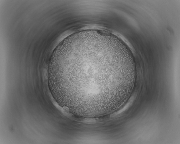 X0000110981049200907022052