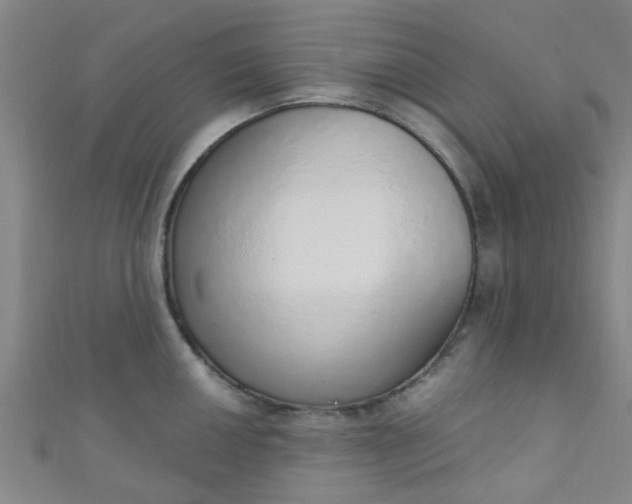 X0000110981050200907022052