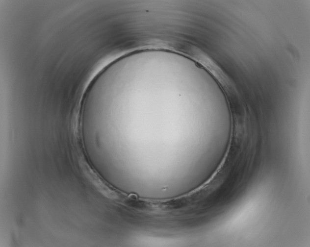 X0000110981052200907022052