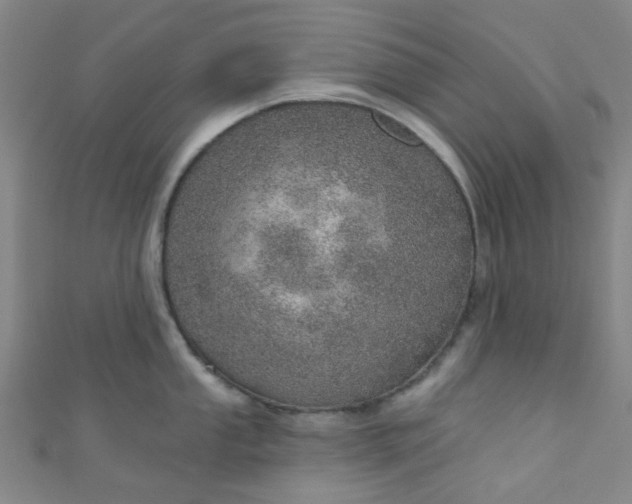 X0000110981053200907022052