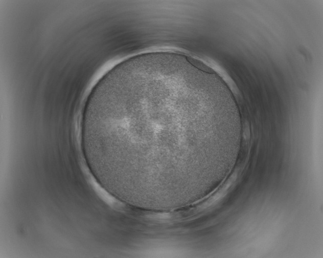 X0000110981054200907022052