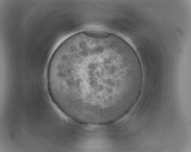 X0000110981056200907022052