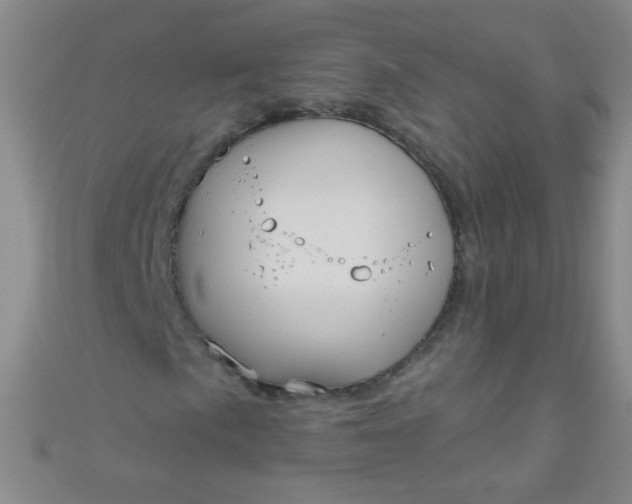 X0000110981057200907022051