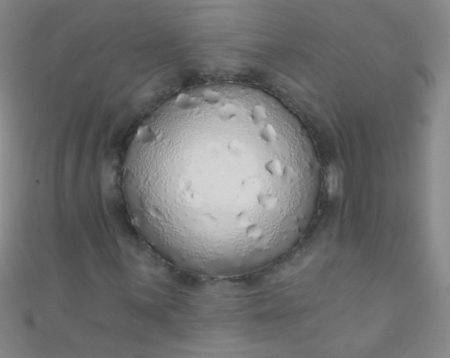 X0000110981059200907022051