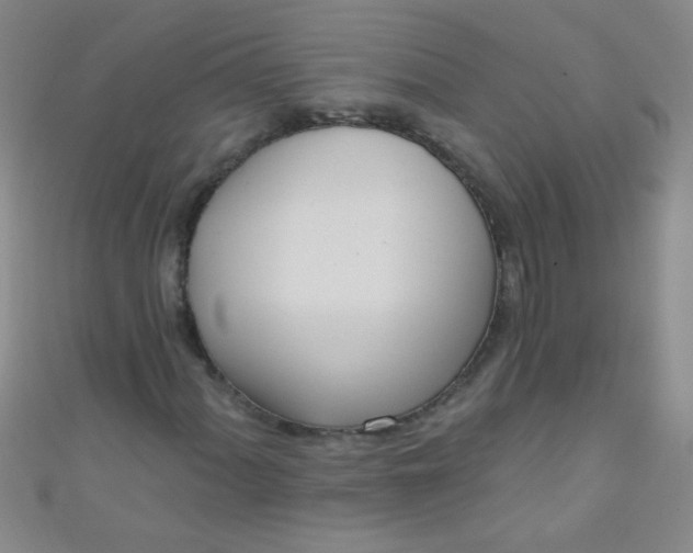 X0000110981060200907022051