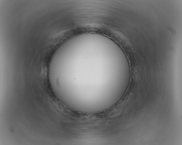 X0000110981061200907022051