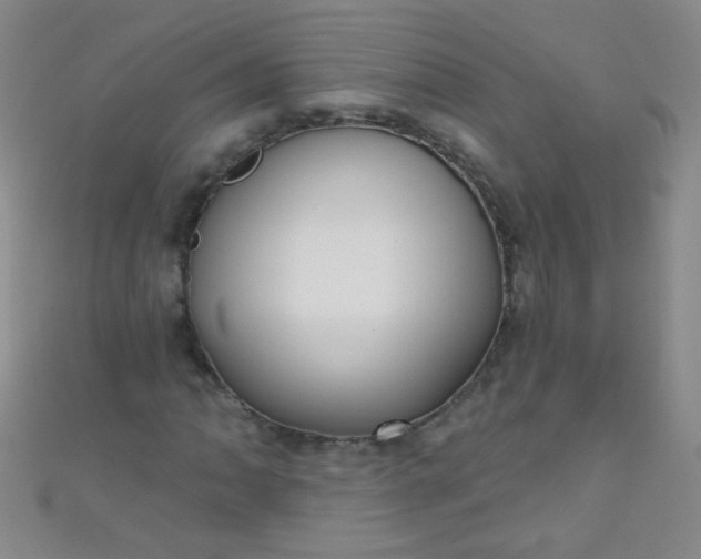 X0000110981062200907022051