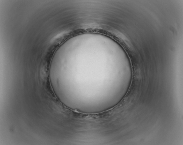 X0000110981063200907022051