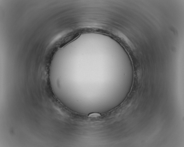 X0000110981064200907022051