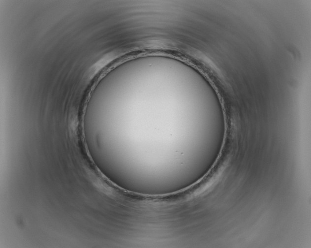 X0000110981065200907022051