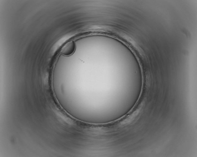 X0000110981066200907022051