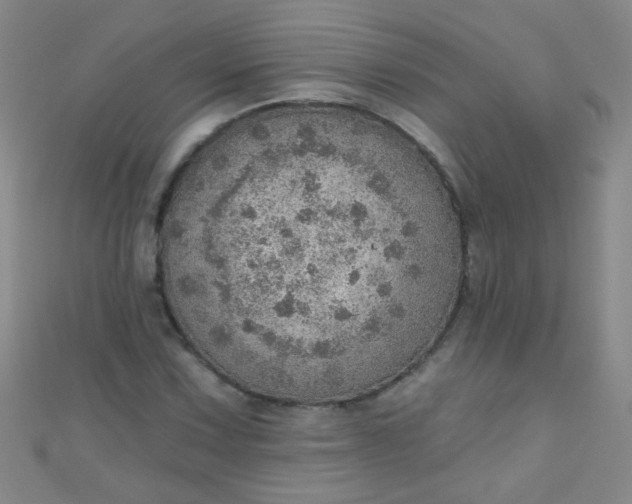 X0000110981067200907022051