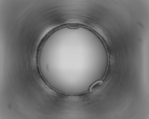 X0000110981068200907022051