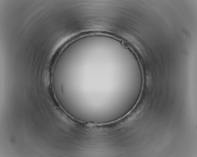 X0000110981069200907022051