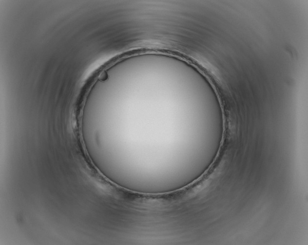 X0000110981070200907022051