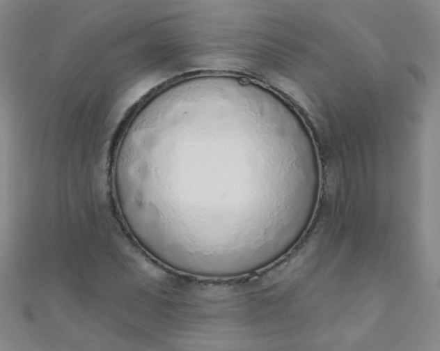 X0000110981071200907022051