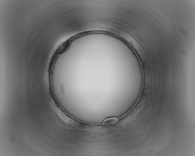 X0000110981072200907022051