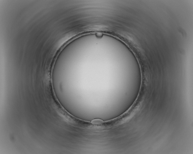 X0000110981073200907022051