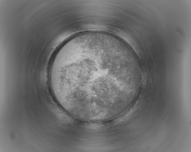 X0000110981074200907022051