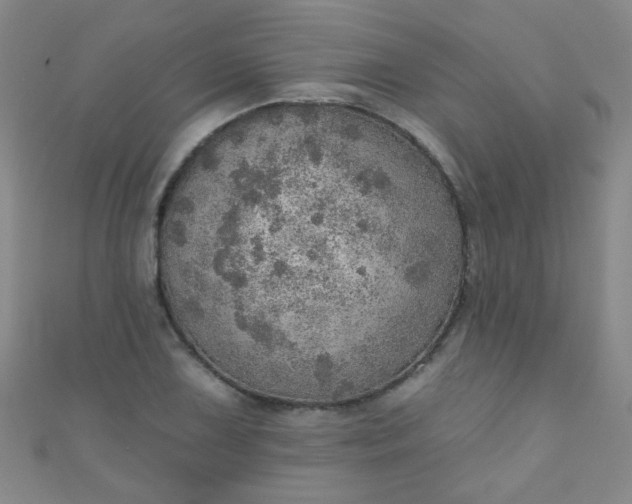 X0000110981075200907022051