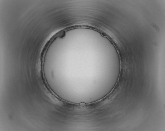 X0000110981076200907022051