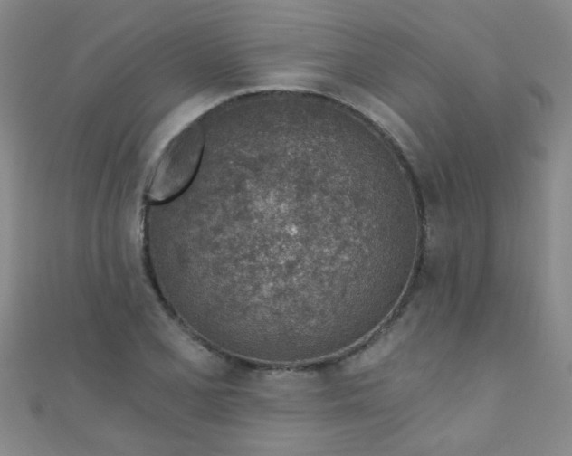 X0000110981077200907022051