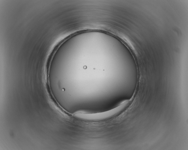 X0000110981080200907022051