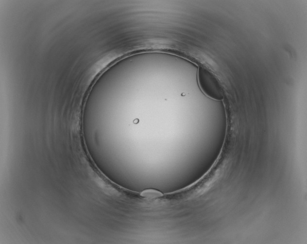 X0000110981081200907022051