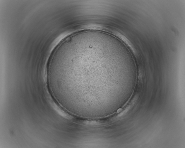 X0000110981082200907022051