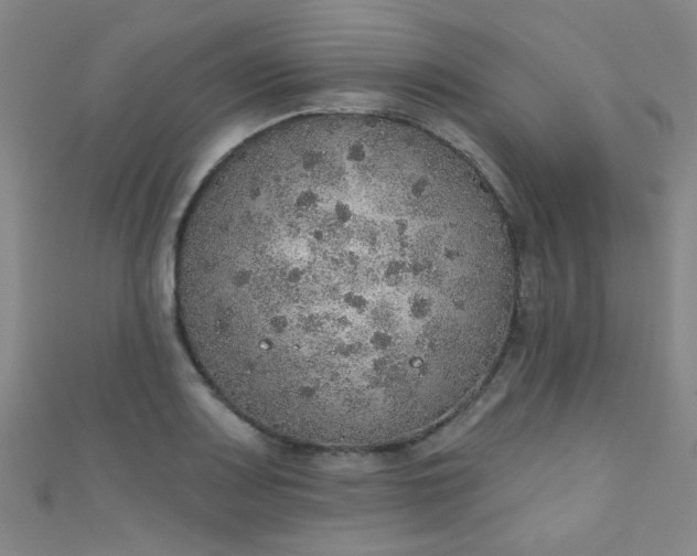 X0000110981083200907022051