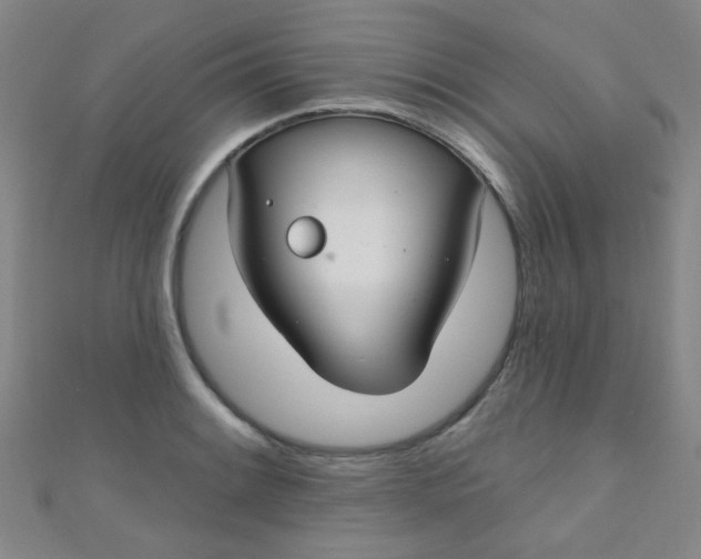 X0000110981084200907022051