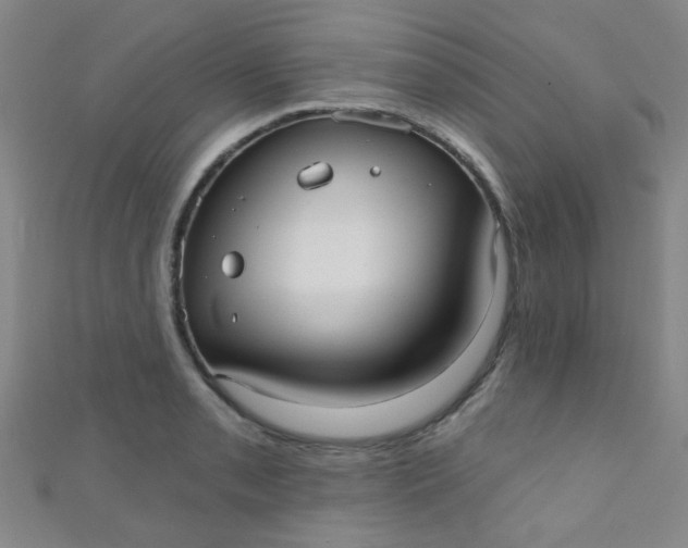 X0000110981085200907022050