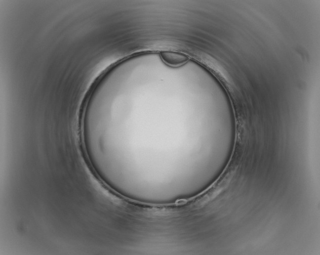 X0000110981087200907022050