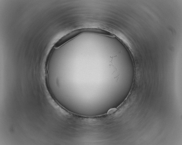 X0000110981088200907022050