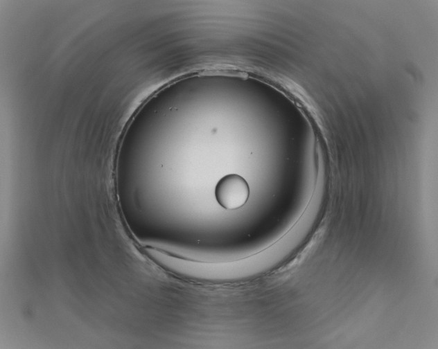 X0000110981089200907022050