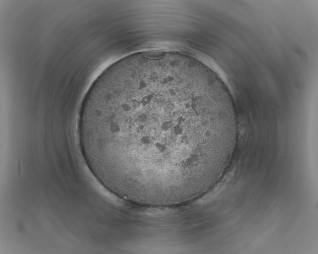 X0000110981091200907022050