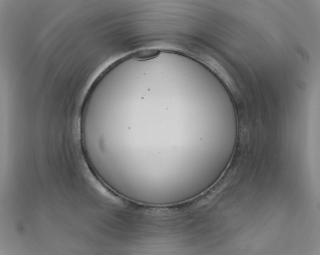 X0000110981092200907022050