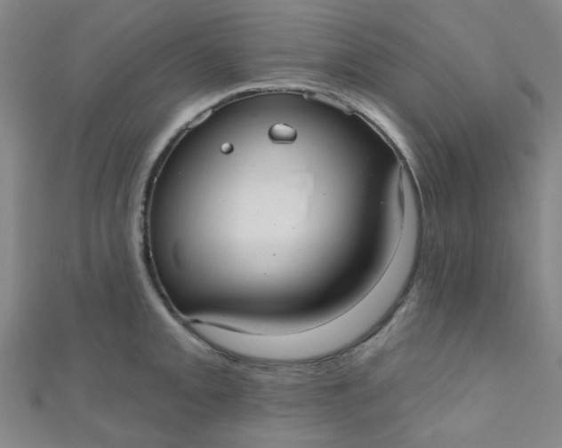 X0000110981093200907022050