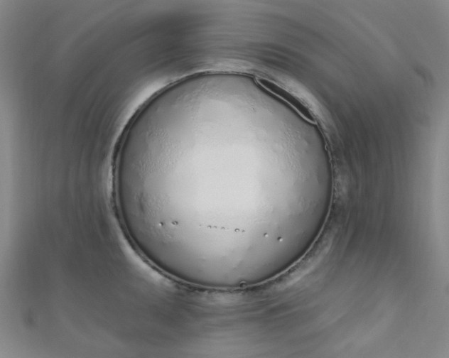 X0000110981095200907022050