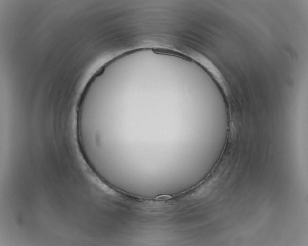 X0000110981096200907022050