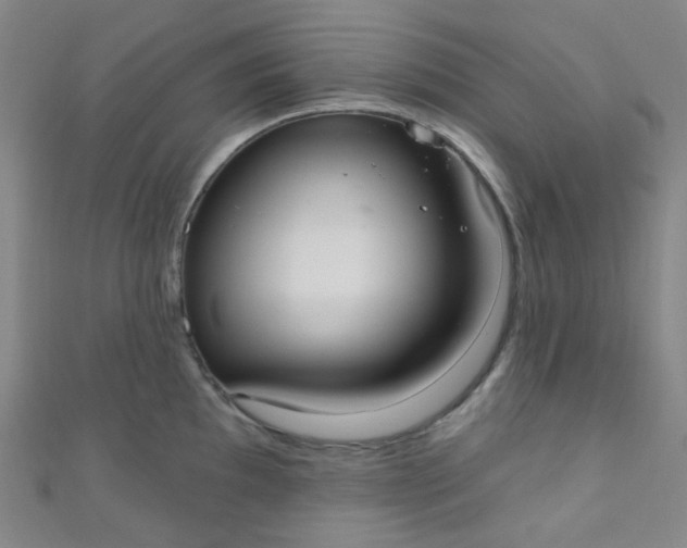 X0000110981097200907022050