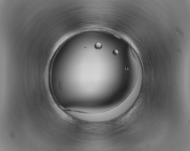 X0000110981098200907022050