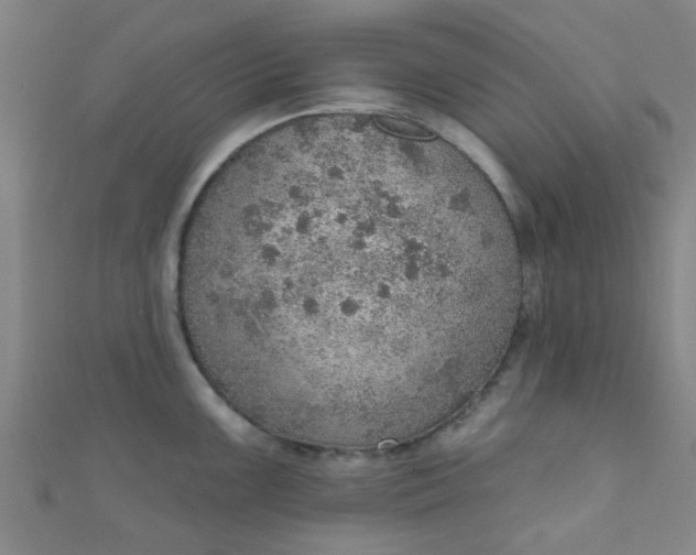 X0000110981099200907022050