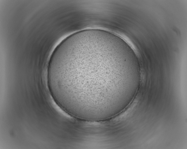 X0000110981100200907022050