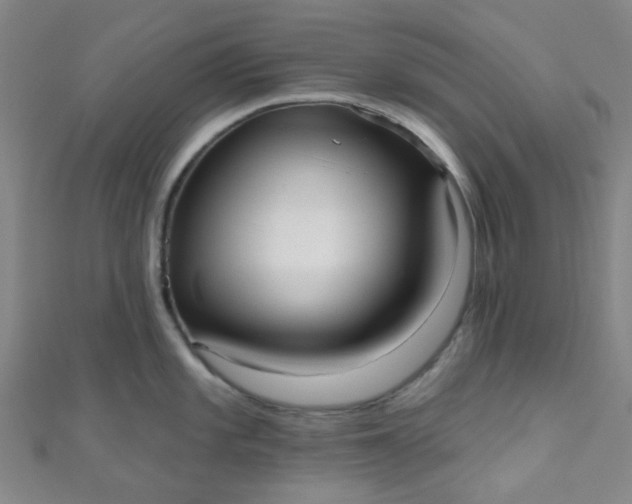 X0000110981101200907022050