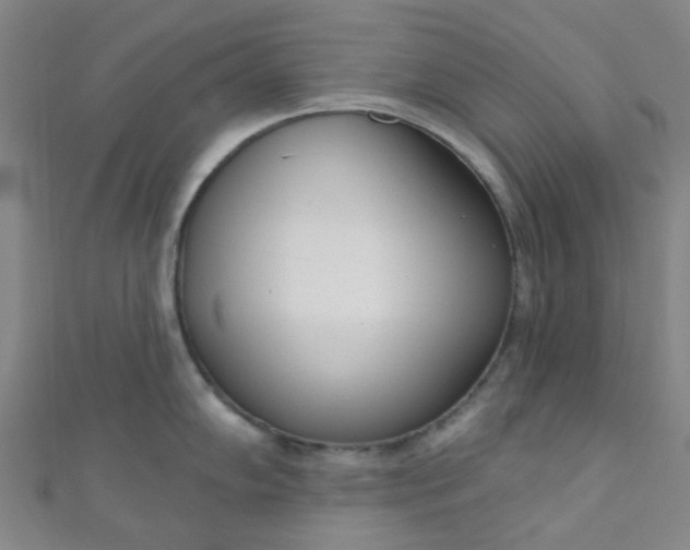 X0000110981102200907022050