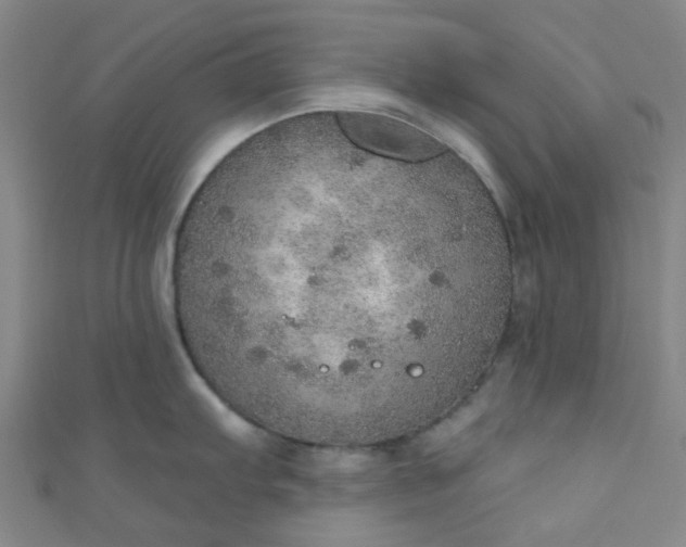 X0000110981103200907022050