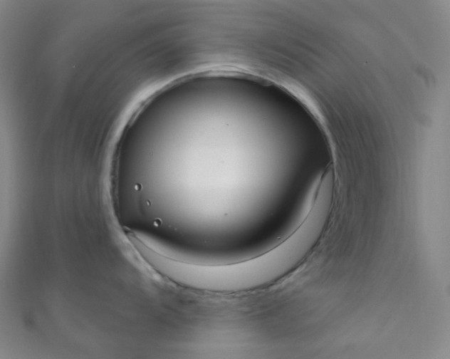 X0000110981104200907022050