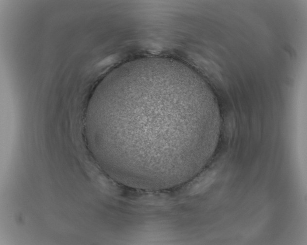 X0000110981105200907022049