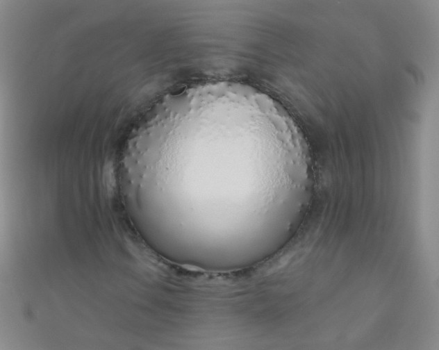 X0000110981106200907022049